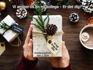Salgsassistent Søges