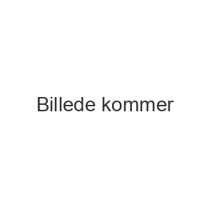 Dekoration til studenterfesten